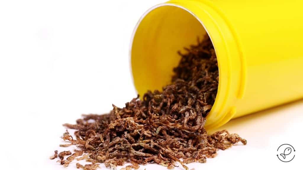 Freeze-dried bloodworms