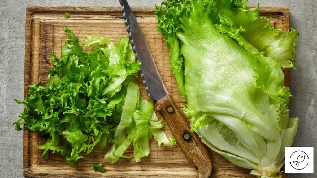 Lettuce