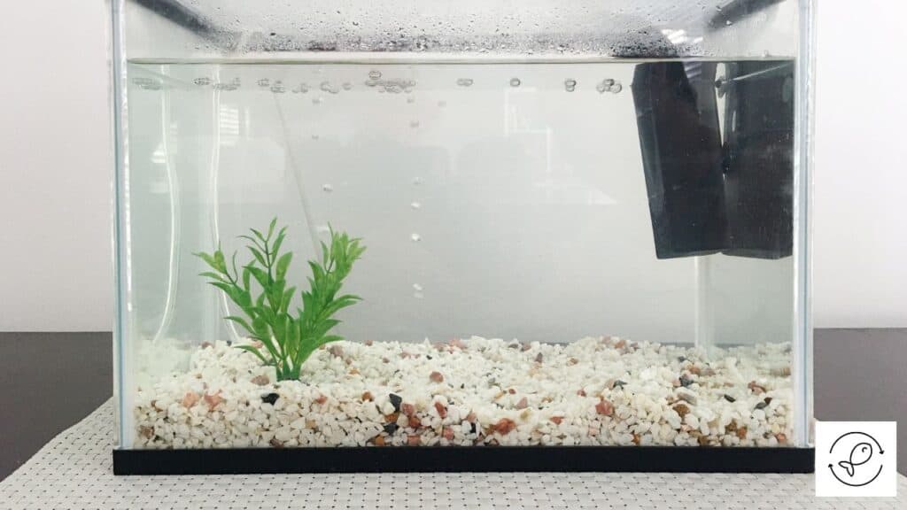Fish revival tank