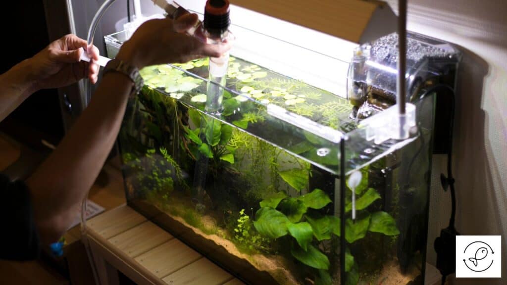 Aquarium kept near electric outlet