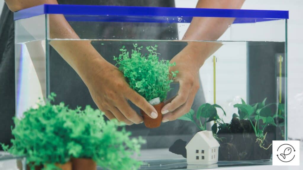 Aquarium Decoration