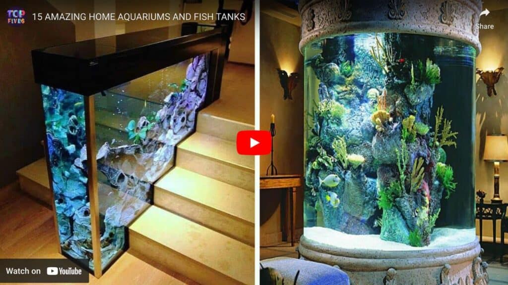 Home aquariums of the rich and famous